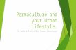 Permaculture and your Urban Lifestyle. The World will be saved by Beauty! (Dostoevsky)