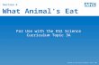 Section 4 What Animal’s Eat For Use with the KS2 Science Curriculum Topic 3A Adapted by Oral Health Promotion, Devon 2014.