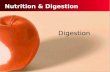 Nutrition & Digestion Digestion Interpret the different functions of the digestive system organs. Outline the pathway food follows through the digestive.