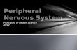 Principles of Health Science 2012. Peripheral nervous system is made of all of the nerves. PNS consists of cranial nerves and spinal nerves.
