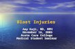 Blast Injuries Amy Kaji, MD, MPH November 16, 2005 Acute Care College Medical Student Seminar.