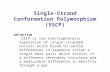 Single-Strand Conformation Polymorphism (SSCP) DEFINITION SSCP is the electrophoretic separation of single- stranded nucleic acids based on subtle differences.