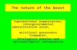 The nature of the beast Supranational organization, intergovernmental administration union, multilevel governance framework… Ontological debates and epistemological.