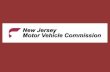Passenger Vehicle Transportation Passenger Vehicle Transportation(PVT) PVT is an MVC initiative being implemented to provide a clearer picture to the.