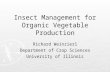 Insect Management for Organic Vegetable Production Richard Weinzierl Department of Crop Sciences University of Illinois.