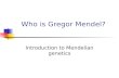Who is Gregor Mendel? Introduction to Mendelian genetics.