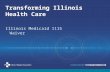 Transforming Illinois Health Care Illinois Medicaid 1115 Waiver.