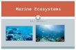 SALT WATER!!! Marine Ecosystems. Life in the Oceans Plankton are the base of the food chain and the most abundant producers.