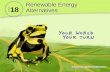 18 Renewable Energy Alternatives CHAPTER. Germany’s Big Bet on Renewable Energy In 2000, Germany passed the Renewable Energy Law, which required that.