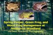 Spring Peeper, Green Frog, and Wood Frog Management at Neithercut Woodland Clay Wilton, Randi Brown, Traci Goldsworthy.