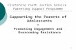 1 Flintshire Youth Justice Service Parenting Support Programme Supporting the Parents of Adolescents ∞ Promoting Engagement and Overcoming Resistance.