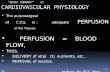 Slid e 1 “BASIC SUMMARY” of CARDIOVASCULAR PHYSIOLOGY  The purpose/goal of C.V.S. is : adequate PERFUSION of the Tissues  PERFUSION = BLOOD FLOW,  THUS,