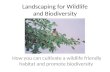 Landscaping for Wildlife and Biodiversity How you can cultivate a wildlife friendly habitat and promote biodiversity.