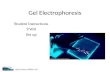 Salk Institute Mobile Lab Gel Electrophoresis Student Instructions VWR Set up.