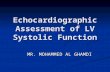 Echocardiographic Assessment of LV Systolic Function MR. MOHAMMED AL GHAMDI MR. MOHAMMED AL GHAMDI.