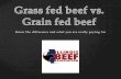 Organic  Natural  Conventional  Grass fed beef with strict restrictions  The USDA sets those strict restrictions and they are as follows  Cattle.