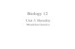 Biology 12 Unit 3: Heredity Mendelian Genetics. Genes and Heredity Mendel’s Experiments Alleles Punnett Square Monohybrid & Dihybrid Crosses.
