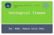 Urological Trauma Doc. MUDr. Robert Grill PhDr. Urologická klinika 3. LF UK a FNKV.
