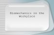 Biomechanics in the Workplace. What Is Biomechanics? Definition: “The study of forces acting on and generated within a body and the effects of these forces.