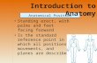 Anatomical Position Introduction to Anatomy Standing erect, with palms and feet facing forward Is the standard reference point in which all positions,
