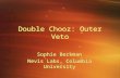 Double Chooz: Outer Veto Sophie Berkman Nevis Labs, Columbia University Sophie Berkman Nevis Labs, Columbia University.