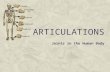 ARTICULATIONS Joints in the Human Body. WHAT ARE ARTICULATIONS?  Articulations are joints  Places where two or more bones meet.