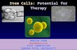 NIPERD Stem Cells: Potential for Therapy. Replacement parts needed for transplantation or tissue reconstruction Replacement parts needed for transplantation.