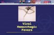 Viral Hemorrhagic Fevers. Objectives Describe the natural geographic distribution of VHF and scenarios suggestive of bioterrorism Describe the clinical.
