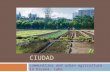 AGRICULTURA Y LA CIUDAD communities and urban agriculture in havana, cuba.