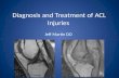 Diagnosis and Treatment of ACL Injuries Jeff Martin DO.