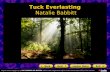 Tuck Everlasting Natalie Babbitt. Tuck Everlasting: Introduction Winnie Foster is a girl in search of adventure. Living in a fenced-in cottage with her.