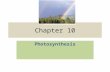 Chapter 10 Photosynthesis. The Process That Feeds the Biosphere Photosynthesis is the process that converts solar energy into chemical energy Directly.