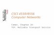 CSCI 4550/8556 Computer Networks Comer, Chapter 24: TCP: Reliable Transport Service.
