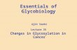 Essentials of Glycobiology Ajit Varki Lecture 35 Changes in Glycosylation in Cancer.