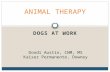 DOGS AT WORK ANIMAL THERAPY Dondi Austin, CNM, MS Kaiser Permanente, Downey.