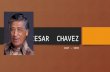 CESAR CHAVEZ 1927 - 1993. Cesar Chavez spent the first ten years of his life on a small farm near Yuma, Arizona. His family and most of the Mexican American.