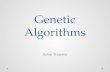 Genetic Algorithms Yohai Trabelsi. Outline Evolution in the nature Genetic Algorithms and Genetic Programming A simple example for Genetic Algorithms.