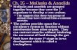 Ch. 35 – Mollusks & Annelids  Mollusks and annelids are grouped together because they were the 1 st organisms to develop a true coelom. – This suggests.