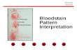 Bloodstain Pattern Interpretation Forensic Science.