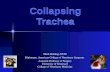 Collapsing Trachea Mark Bohling, DVM Diplomate, American College of Veterinary Surgeons Assistant Professor of Surgery University of Tennessee College.