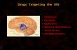 BIMM118 Drugs Targeting the CNS Parkinson Epilepsy Hypnotics General Anesthetics Anxiolytics Antidepressants.