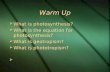 Warm Up  What is photosynthesis?  What is the equation for photosynthesis?  What is geotropism?  What is phototropism?   What is photosynthesis?