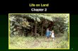 1 Life on Land Chapter 2. 2 Terrestrial Biomes Biomes are distinguished primarily by their predominant plants and are associated with particular climates.