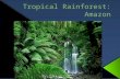 My biome is a Tropical Rainforest is a forest filled with trees and has year round warmth. Yearly rainfall is 50 to 260 inches and temperatures are usually.