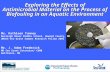 Exploring the Effects of Antimicrobial Material on the Process of Biofouling in an Aquatic Environment Ms. Kathleen Tunney Burleigh Manor Middle School,