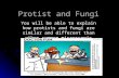 Protist and Fungi You will be able to explain how protists and fungi are similar and different than other common microscopic organisms.