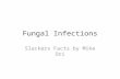 Fungal Infections Slackers Facts by Mike Ori. Disclaimer The information represents my understanding only so errors and omissions are probably rampant.