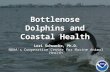 Bottlenose Dolphins and Coastal Health Lori Schwacke, Ph.D. NOAA’s Cooperative Center for Marine Animal Health.