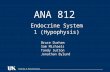 Anatomy & Neurobiology ANA 812 Endocrine System 1 (Hypophysis) Bruce Durham Sam Michaels Tandy Sutton Jonathan Bylund.