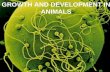 GROWTH AND DEVELOPMENT IN ANIMALS. In the early stages of development, the organism is called embryo. The basic processes in development of embryo include;